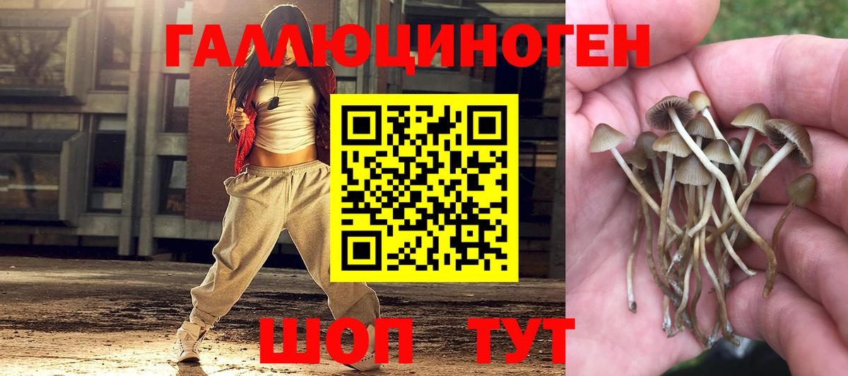 Псилоцибиновые грибы мицелий  Вход с VPN  Тольятти 